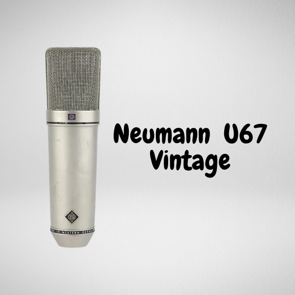 Neumann (3) Neumann (3)