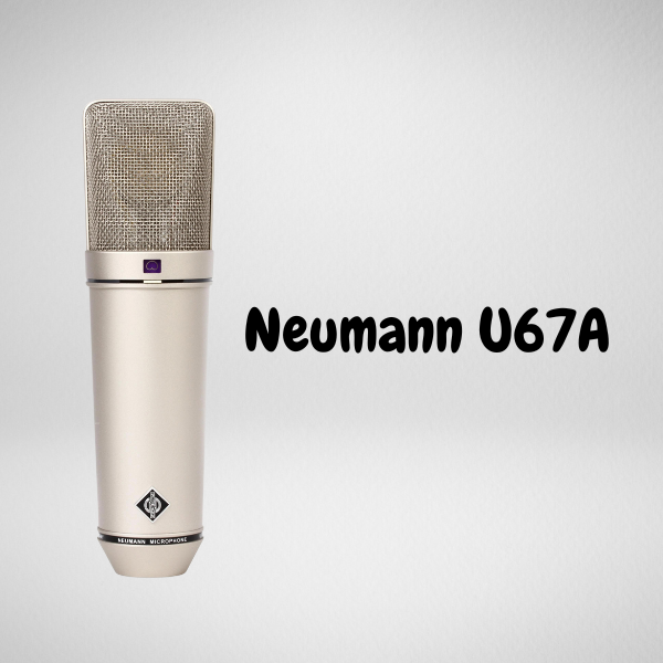 Neumann (5) Neumann (5)