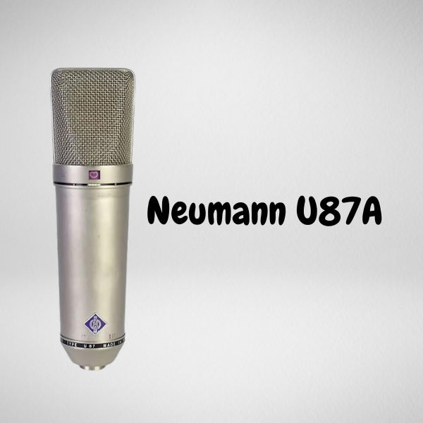 Neumann (6) Neumann (6)